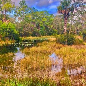 Meet your Posher, Doreen